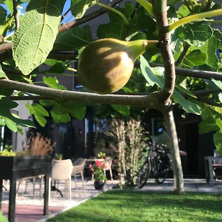 Kerkhotel Bij De Pastorie Reitsum Eksteriør bilde