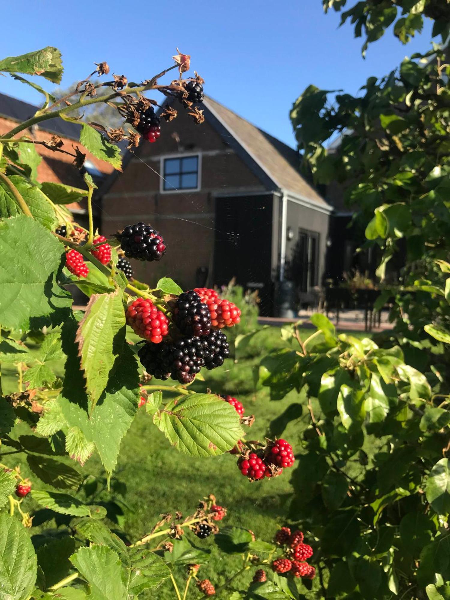 Kerkhotel Bij De Pastorie Reitsum Eksteriør bilde